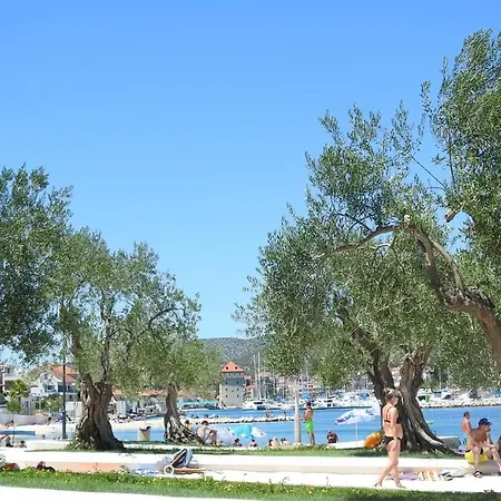 Roza 1