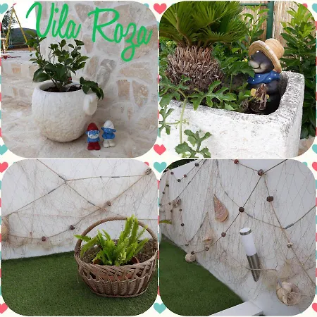 Apartment Roza 1